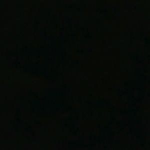 Meet your Posher, Deeeeb